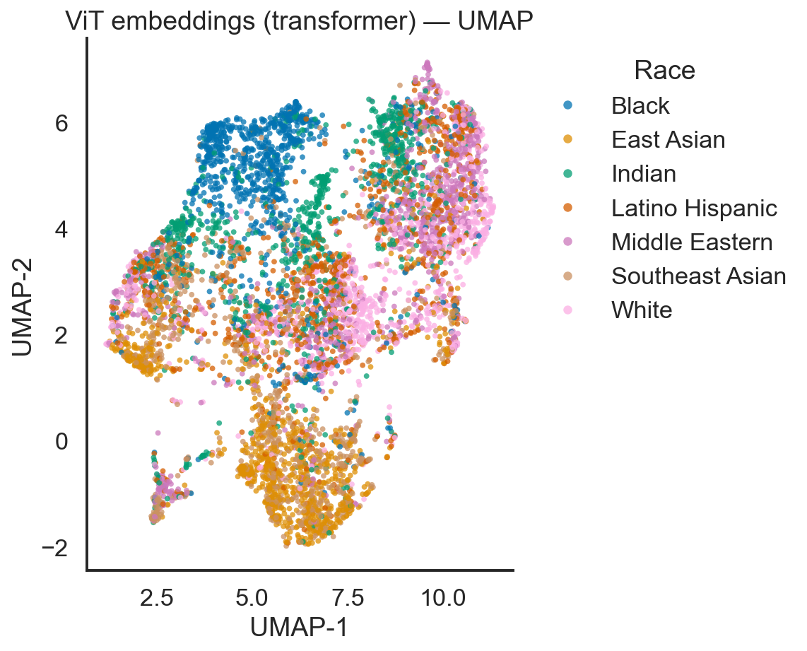 UMAP of ViT embeddings